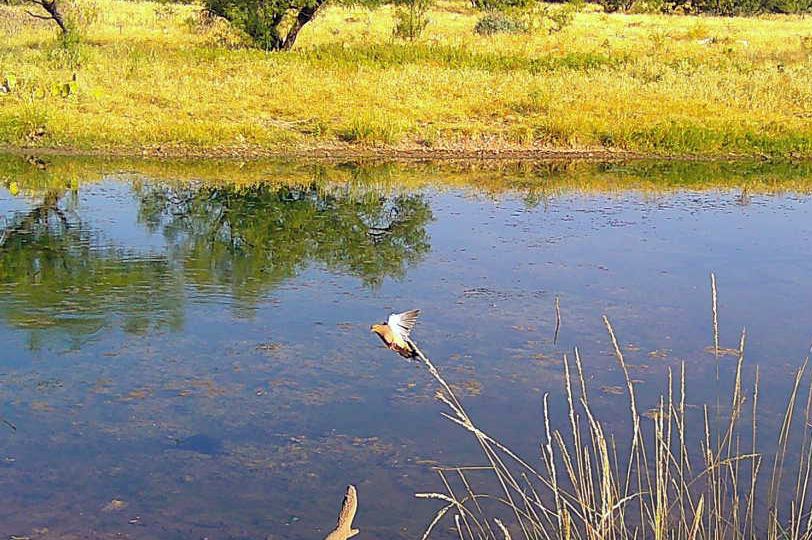 25082309433601003915 ColorizationType.none